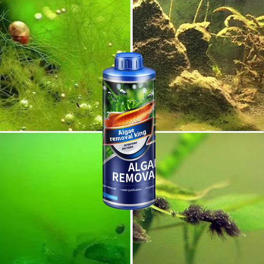 【Algae King】Odstraňovač vodních řas Crazy Aquatic Weed