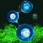 【Algae King】Odstraňovač vodních řas Crazy Aquatic Weed