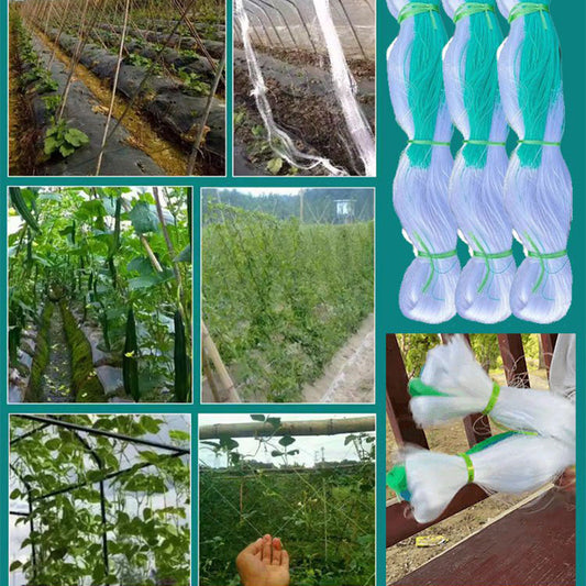 🌿【Šplhací síť】— Rajčata a okurky šplhají samy od sebe a drží plody nad zemí 🍅✨